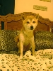 My bed