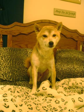 My bed
