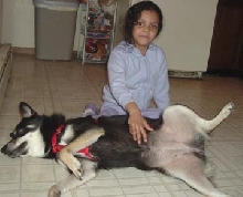 Belly scratches