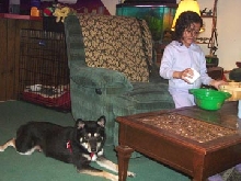 kya watching destany