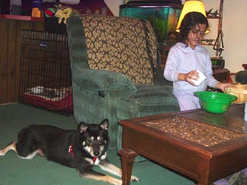 kya watching destany