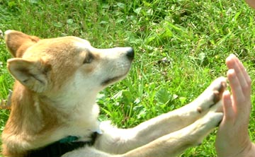 Double hi-5