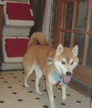 duke2