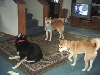 three kids