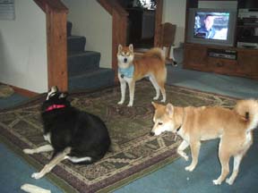 three kids