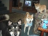 Three kids 2