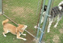 Easter2