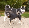 Kya and Kota posing