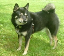 kya looking pretty