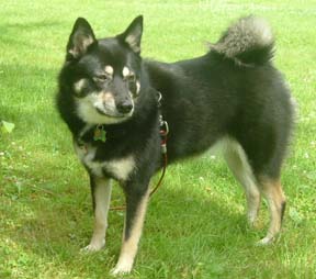 kya looking pretty