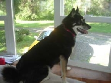 Kya on patrol