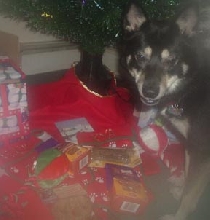 kya with her new presents