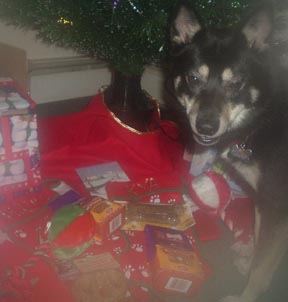 kya with her new presents