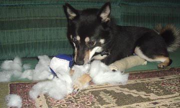 toy killer!