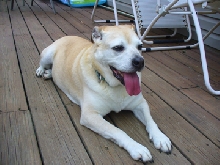 maggie1