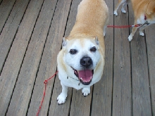 maggie2