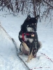 kya being a lady