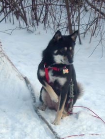 kya being a lady