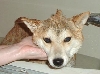 Nic's first bath