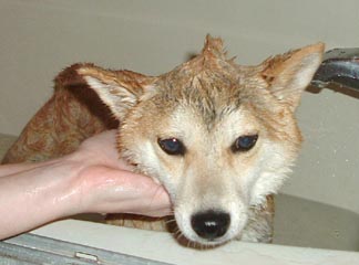 Nic's first bath
