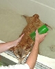 Nic's taking a bath