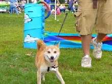 agility4