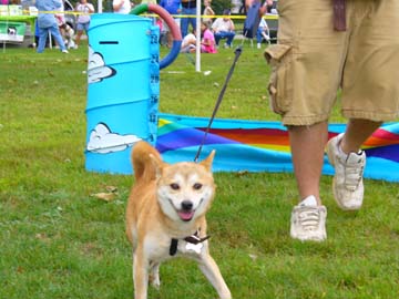 agility4