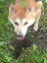 hole