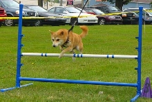 agility