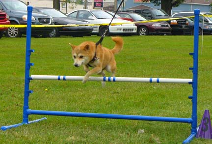 agility