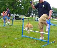 agility2