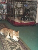 Nic and Kya