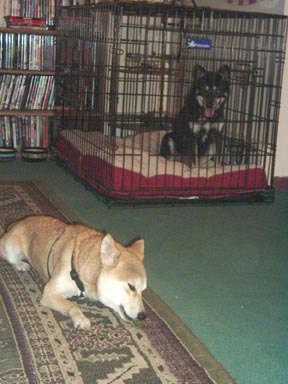 Nic and Kya