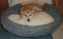 Nic's new bed