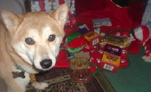 Nic with his presents