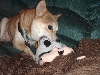 Nic learning to play