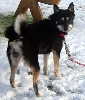 kya in the snow