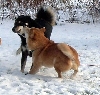 snowkids