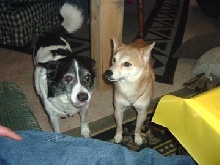 Nic and Jigs