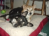 sweet kids