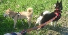 Nic and Kya walking nice
