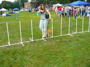 agility3