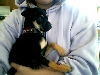 Carlin Pinsher  - My little Gizmo