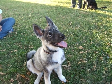 Indy14weeks1