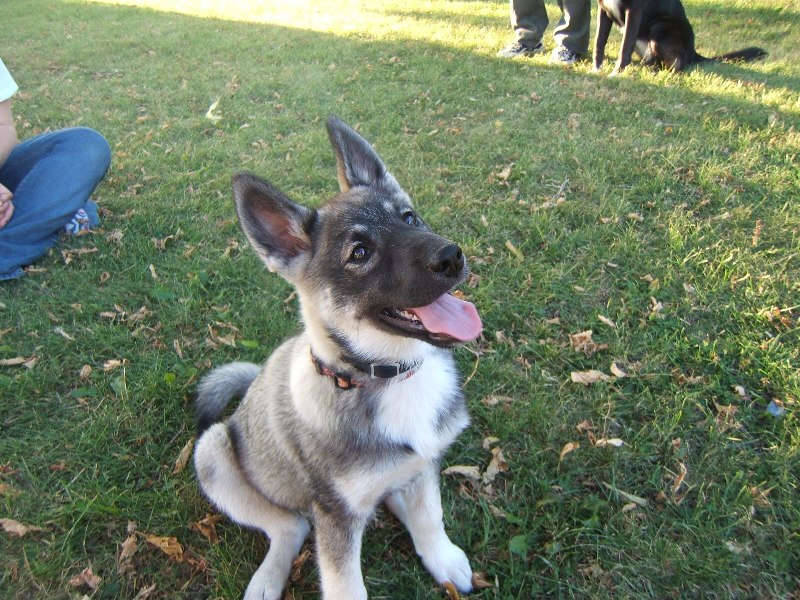 Indy14weeks1