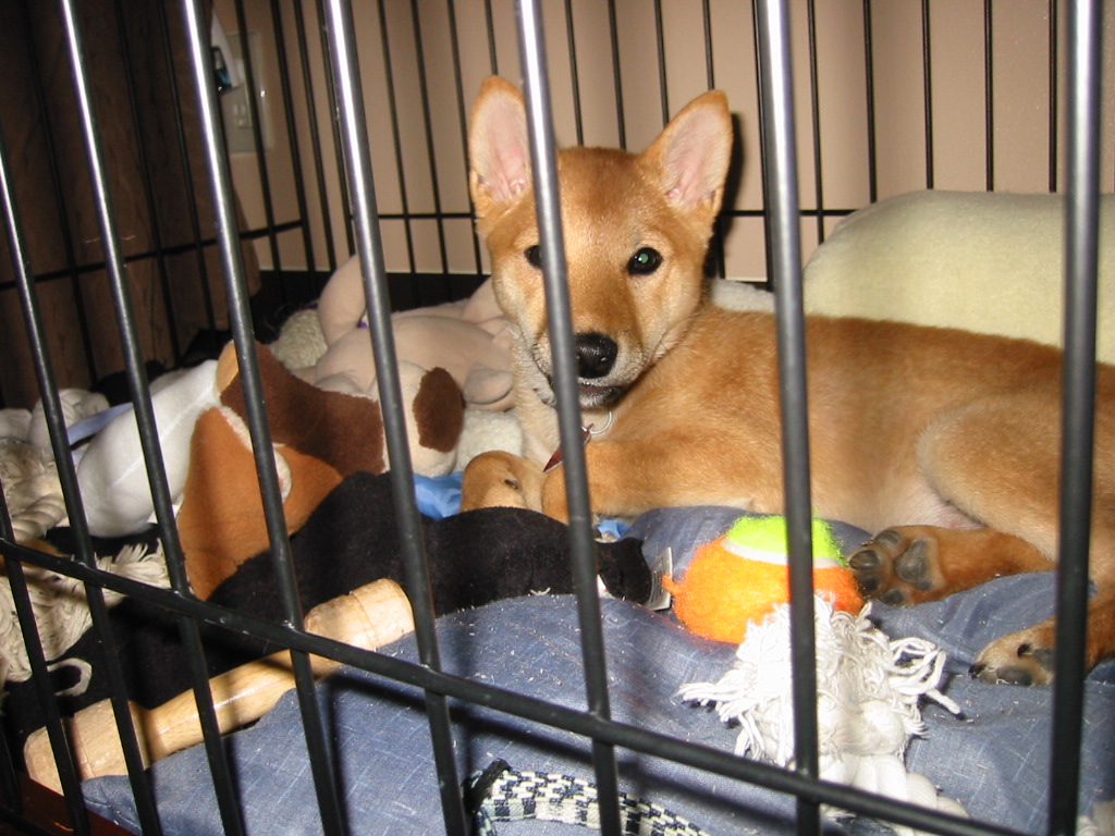 Hang'in Out in Jail