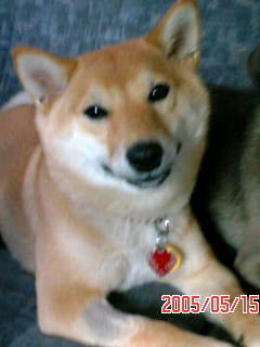Contentment