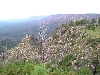mogollon rim
