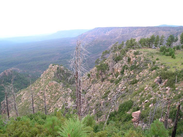 mogollon rim