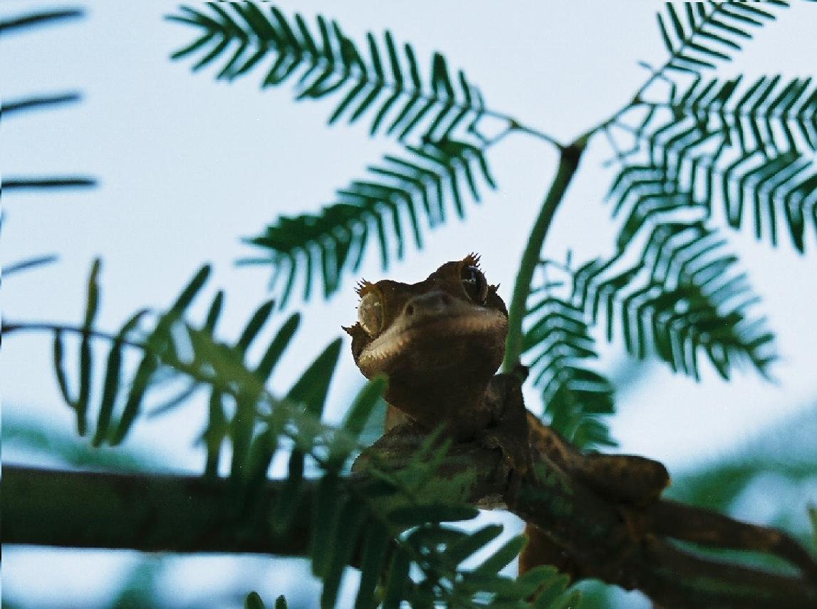 peekaboo!